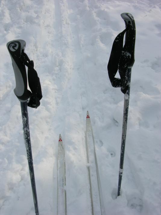 Logo du club de ski de fond