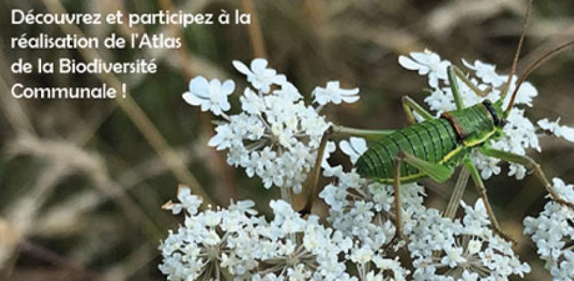 Réunion de lancement, jeudi 27 janvier, 18h, salle Ouest de l'Hôtel de ville