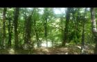 Bois des vouillants