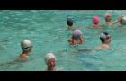 Les enfants au cours de la séance de natation